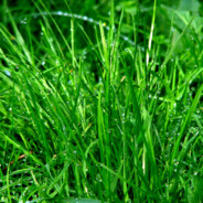 трогал_меня?