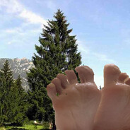 NorwaySpruce