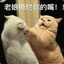 略略略99