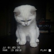 ЕБИЛИ ХУЙЛИШ