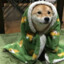 Pajama Doggo