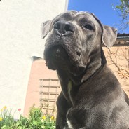 BaschtL - steam id 76561197970664988