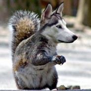 ÄLLÄ