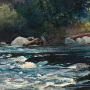 XO绿茶酱宇智波纹面