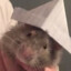 rat with paper hat