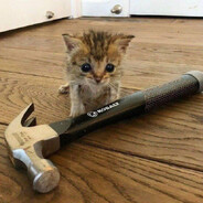 double cheeseburger - steam id 76561199099131704