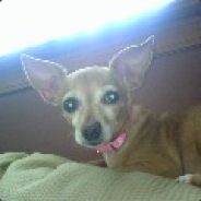 drklytr - steam id 76561197971027785