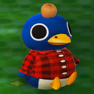 Player Avatar