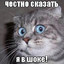 Котэ