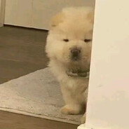 无敌被爆头大王