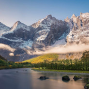 坚决不玩五刺客