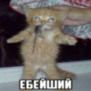 MaKomok - steam id 76561199032010610
