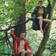 我羊死了需要你寄八只