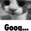 Goog...
