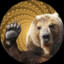 HypnoticBear