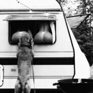 أنا لا أفتقد ، أعط