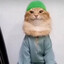 Tab Tabi Tab Cat