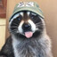 trashpanda