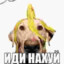 Пузырь