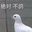 灰烬丶Olex