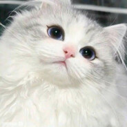 老子是你的甜心