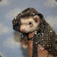 Ironclad Ferret