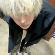 翡翠鸡吃粉碎机