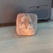 KaiserBunnyx