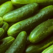Cucumber