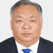 极个别害群之马