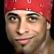 春风若有怜花意