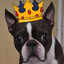 [Solo] KING BOSTON's avatar