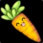 Carrot