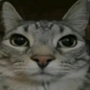 Masny ziemnior SKINS skins.army