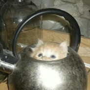 Геннадий Услада