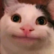 鸡汤爱喝龙猫