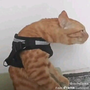 15 Years Old Deagle Enjoyer