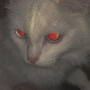 你是来泽拉斯的吧