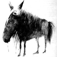 HomicidalHorse6