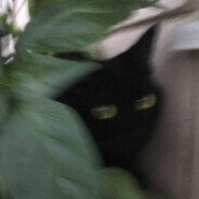 zike - steam id 76561198384395888