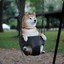 Shiba Boy