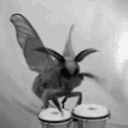 Rundfunk-Tanzorchester Ehrenfeld