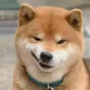 硕硕备用账号