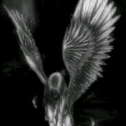 bOrn_tO-wiN- avatar