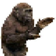 Macaco
