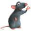 ratatouille