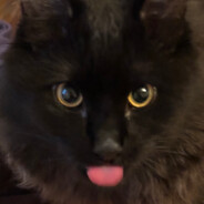 yowri's Steam Avatar