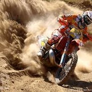 case-ninja Norek3454