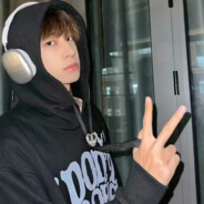 爱吃秋刀鱼的猫