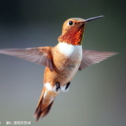 别打我我小学生
